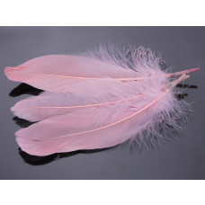 Pióra naturalne barwione koloru blado różowego 10-16cm