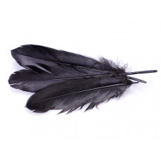 Pióra naturalne barwione koloru czarnego 10-16cm