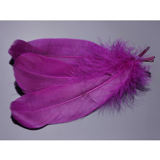 Pióra naturalne barwione koloru purpurowy 10-16cm