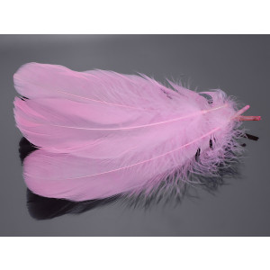 Pióra naturalne barwione koloru jasno różowego 10-16cm