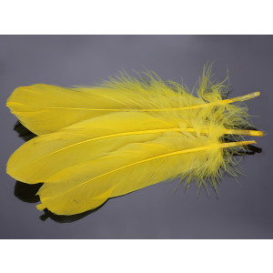 Pióra naturalne barwione koloru żółtego 10-16cm