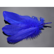 Pióra naturalne barwione koloru niebieskiego 10-16cm